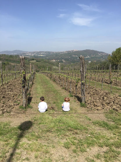 Adotta una Vite - Azienda: Cantina Trodella - Vitigni Irpini