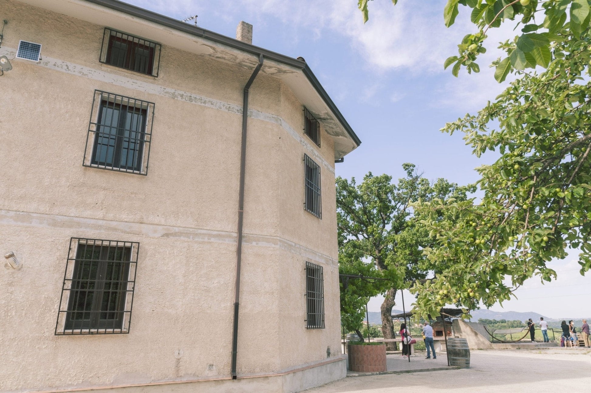 Adotta una Vite - Azienda: Masseria Alfano - Vitigni Irpini