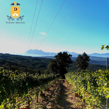 Adotta una Vite - Azienda: Podere Melone - Vitigni Irpini