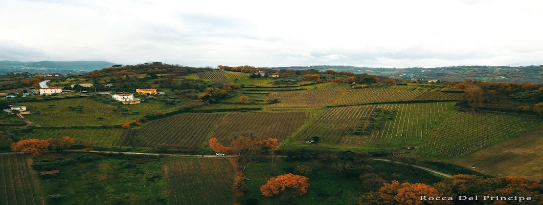 Adotta una Vite - Azienda: Rocca del Principe - Vitigni Irpini