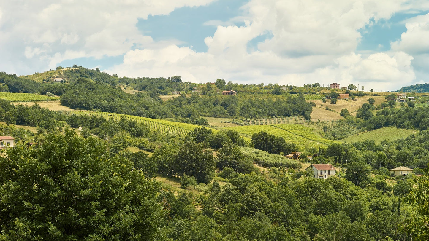 Adotta una Vite - Azienda: Villa Raiano - Vitigni Irpini